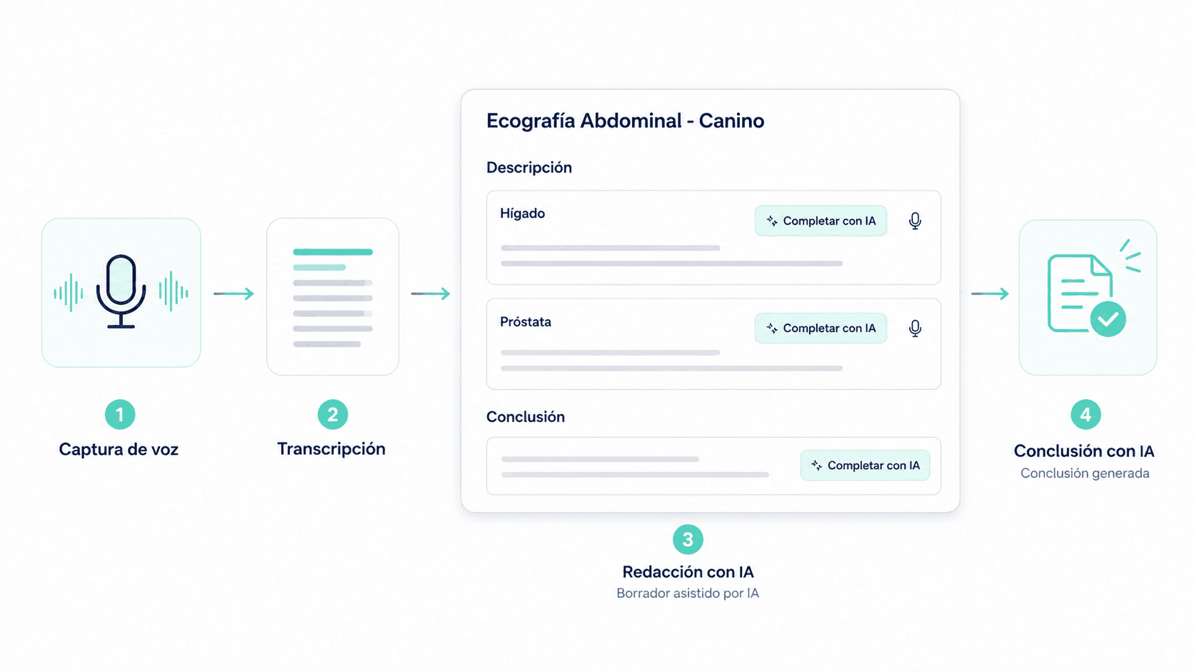 Diagrama del flujo de redacción asistida de Brevet: la voz del profesional se transcribe, alimenta las observaciones por órgano —hígado y próstata— y de ahí se genera la conclusión del estudio