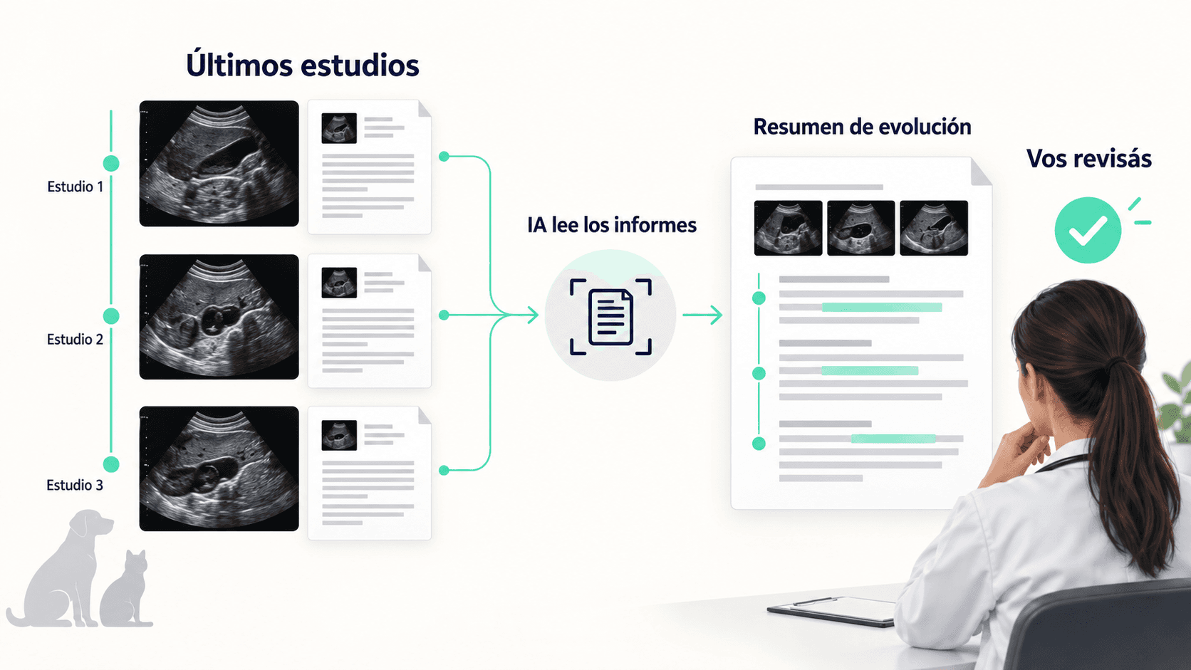 Tres estudios ecográficos recientes seleccionados para que la IA lea sus informes y prepare un resumen de evolución bajo revisión veterinaria